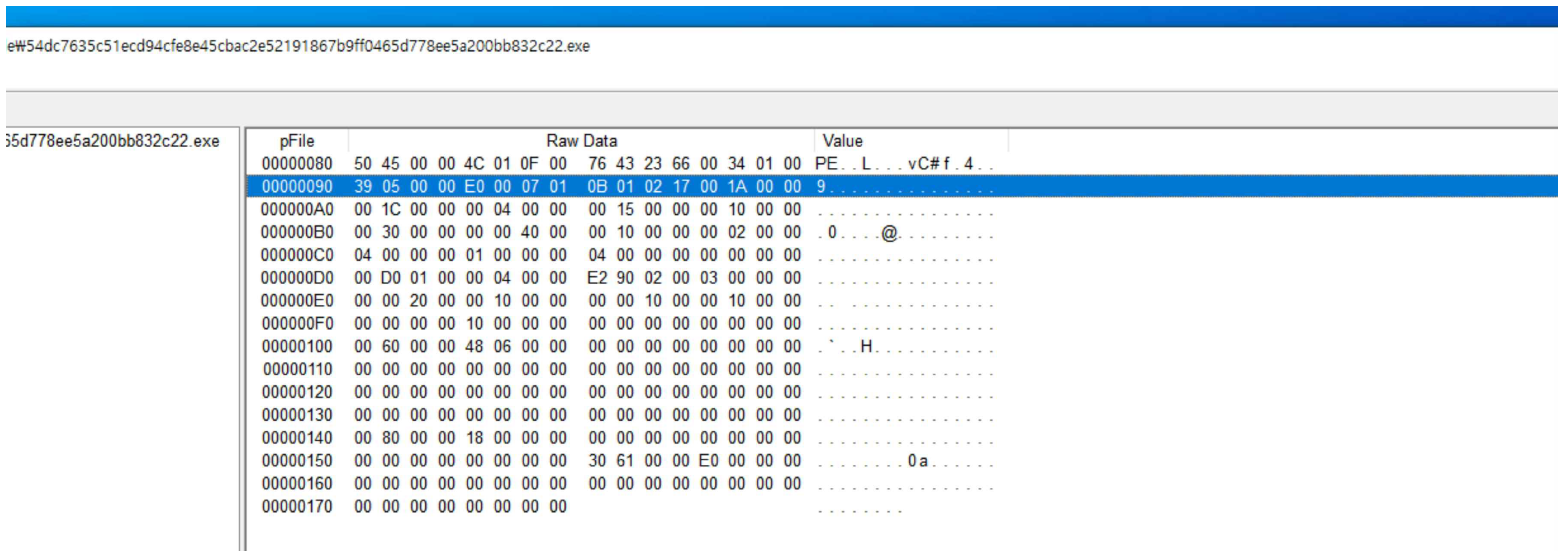 그림 95. OPTIONAL HEADER