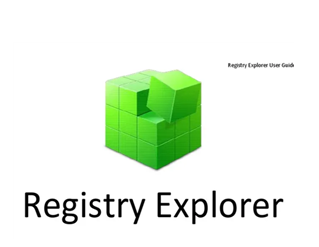 그림 15. 정상 프로세스 Registry Explorer 아이콘