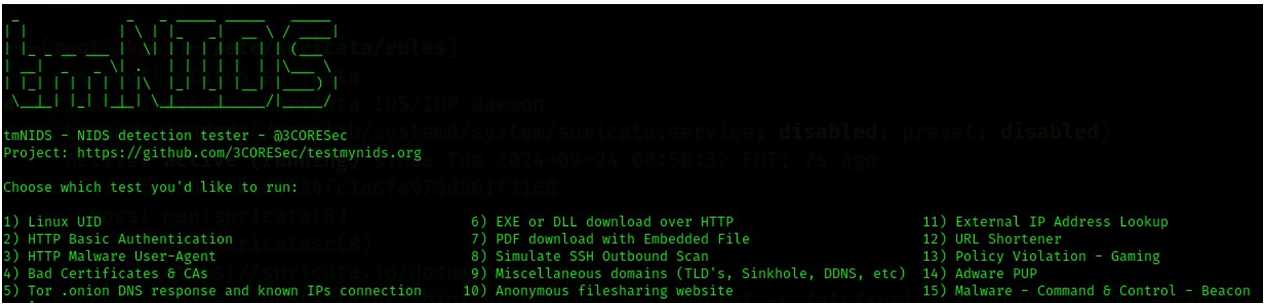 그림 15.tmNIDS 기반 NIDS 탐지 테스트 메뉴