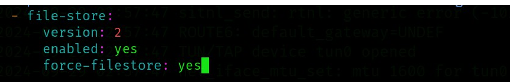 그림 30. Suricata 파일 저장(file-store) 설정
