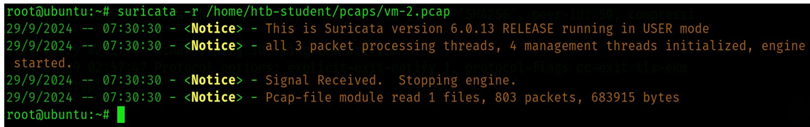 그림 32. Suricata PCAP 파일 분석 실행 결과