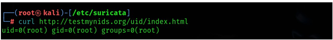 그림 16.tmNIDS UID 테스트(curl 실행 결과)