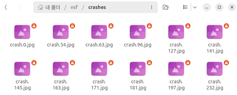 그림 10. 퍼징 실행 결과 나온 크래시