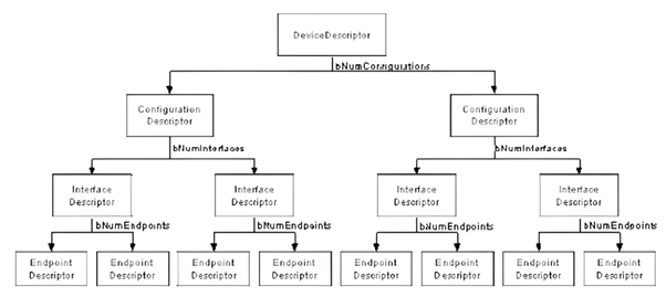 그림 4. USB 장치 디스크립터 계층 구조