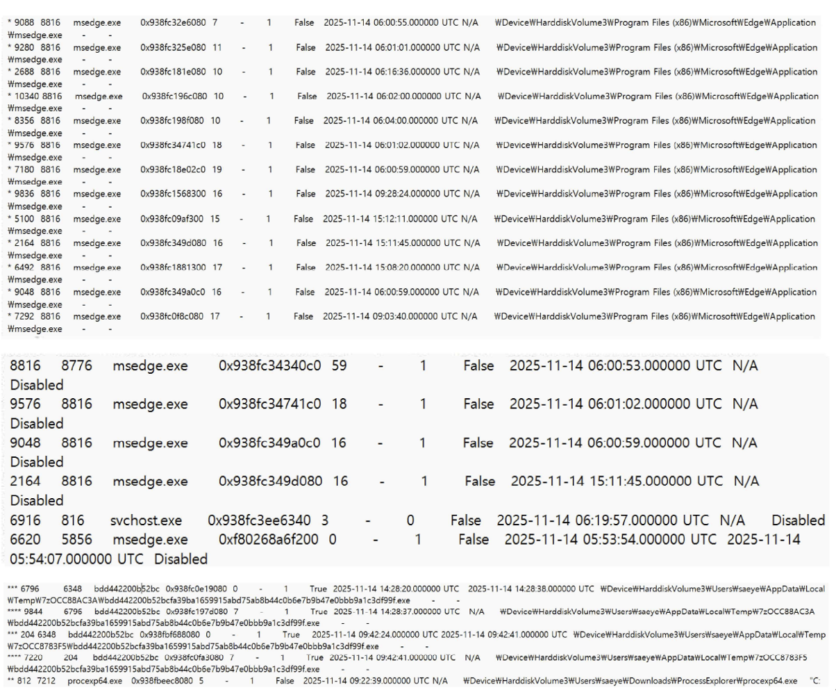 그림 86. 브라우저 프로세스(msedge.exe) 관련 메모리 덤프 분석 결과
