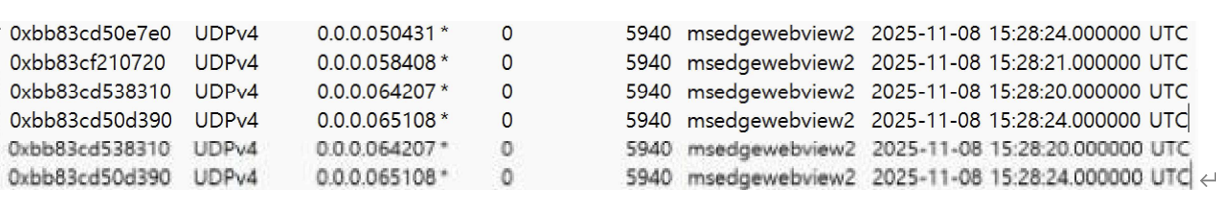 그림 94. msedgewebview2.exe(PID 5940)에서 확인된 연속 UDP 연결 생성 기록